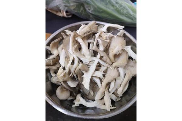 平菇的做法大全