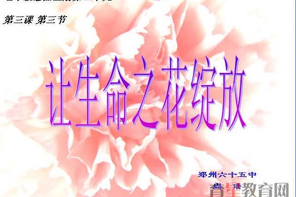 绽放生命之花