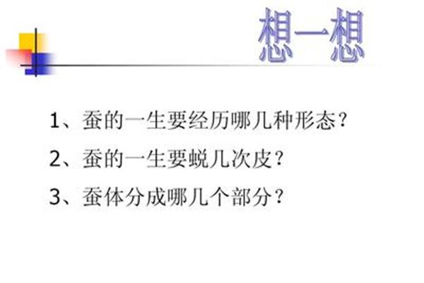 蚕要蜕几次皮