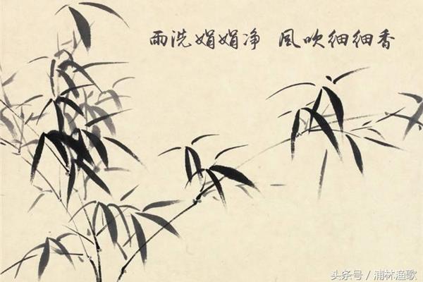 题李次云窗竹