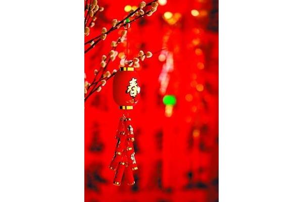 除夕更阑人不睡