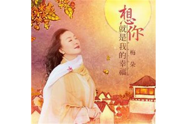 就是我想你