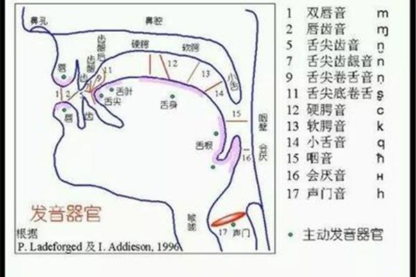 发音训练方法