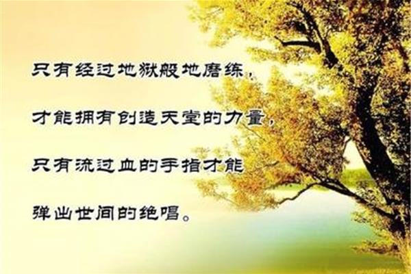 激励自己的名言