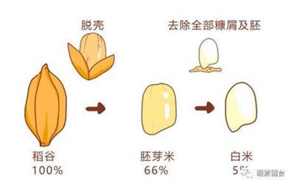 包含的意思