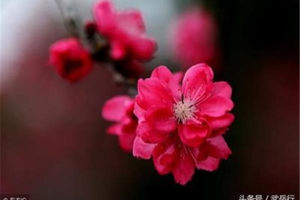 形容夜景美的句子