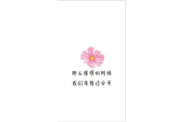 习惯没有你的日子
