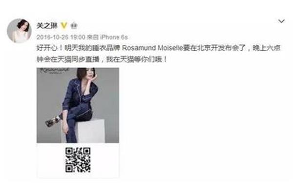 贵妇的沉沦小说