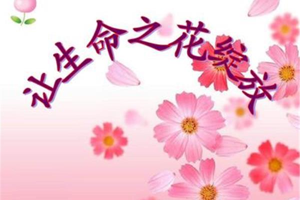 绽放生命之花