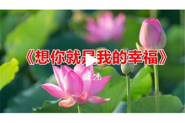 就是我想你