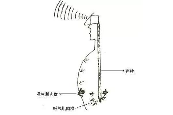 发音训练方法