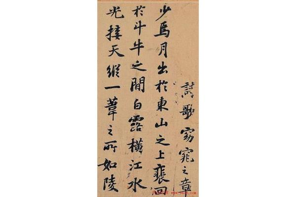 举酒属客的属