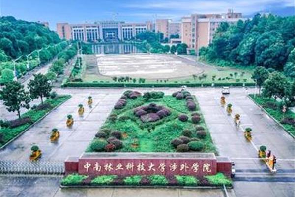 中南科技大学在哪