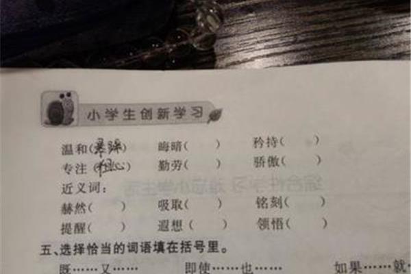 缺点的近义词