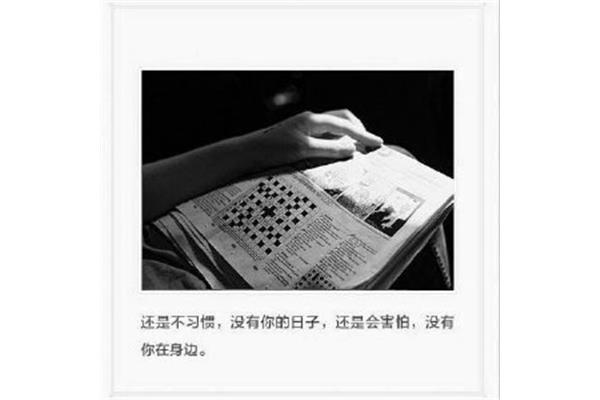 习惯没有你的日子