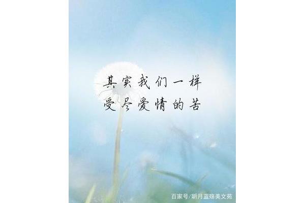 习惯没有你的日子