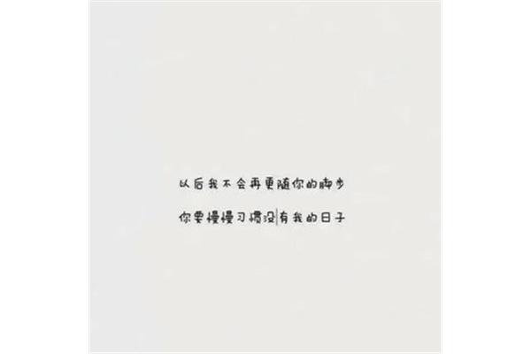 习惯没有你的日子