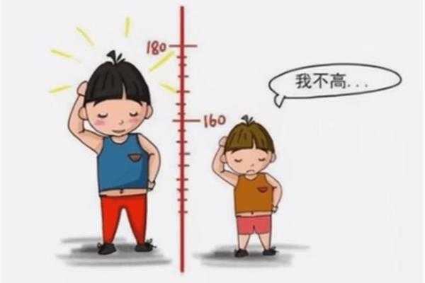 初中生长高方法