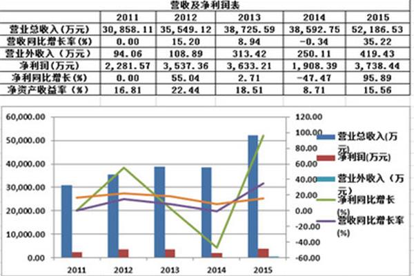 公司财务报表分析