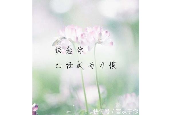 习惯没有你的日子