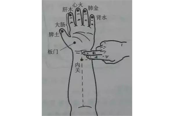 止吐的穴位