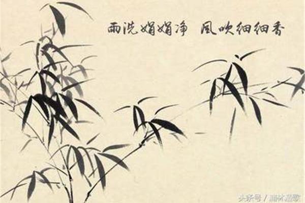 题李次云窗竹