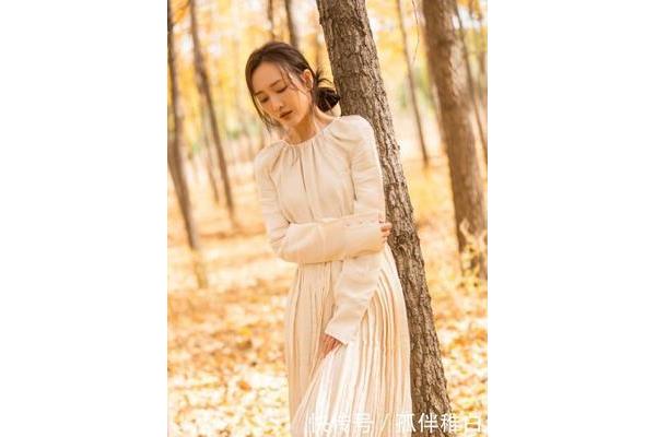 贵妇的沉沦小说