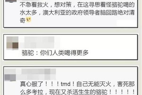 寻思的意思