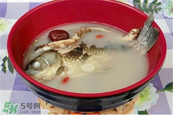 猪脚炖什么下奶
