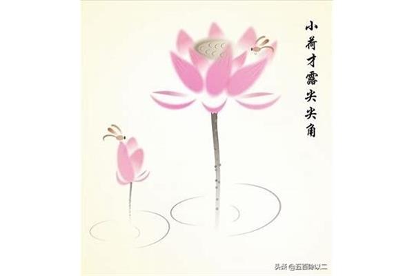 形容荷花的词语