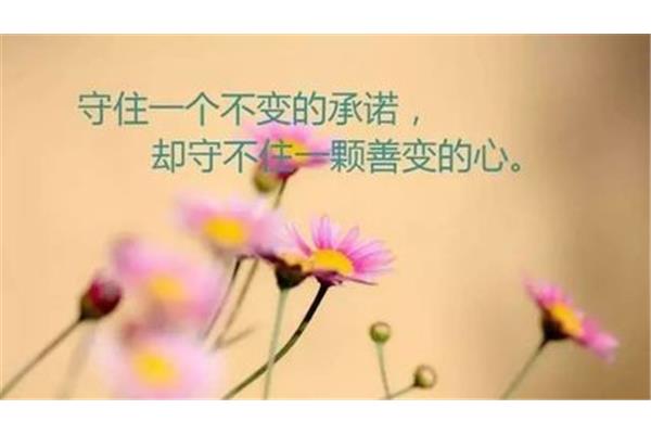 感悟人生的句子