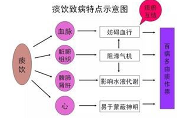 痰饮的致病特点