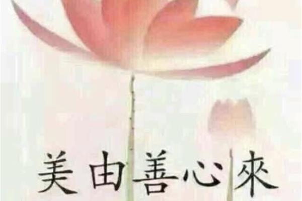 善良的真正含义