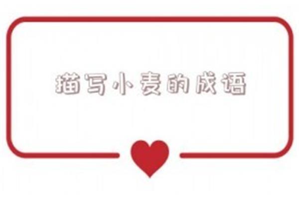 形容丰收的成语