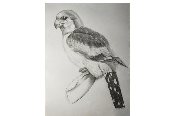 素描画大全