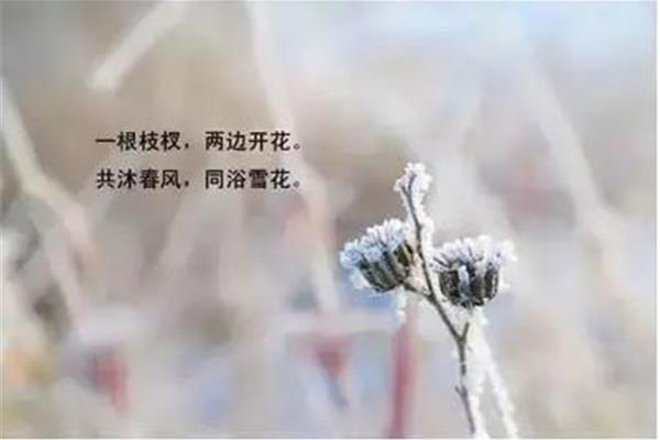 有关冬天的诗