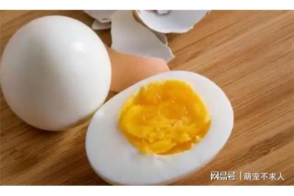 高烧能吃鸡蛋吗