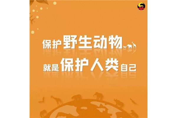 野生动物保护