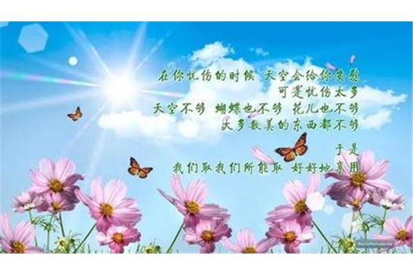 感悟人生的句子