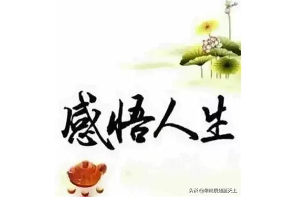 善良的真正含义