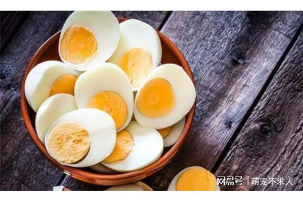 高烧能吃鸡蛋吗
