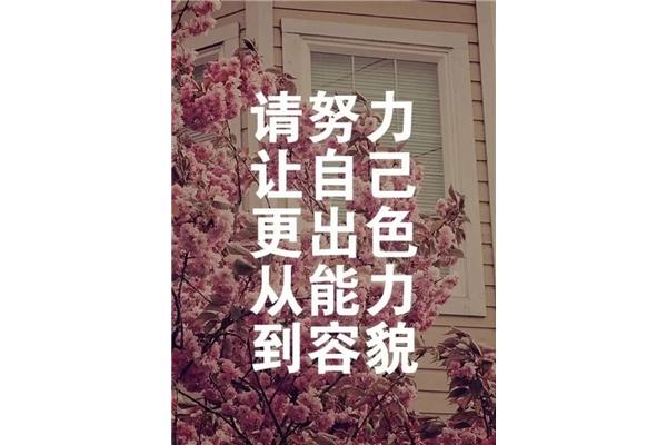 感悟人生的句子