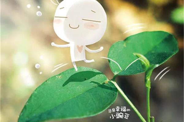 一颗小豌豆