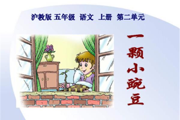 一颗小豌豆