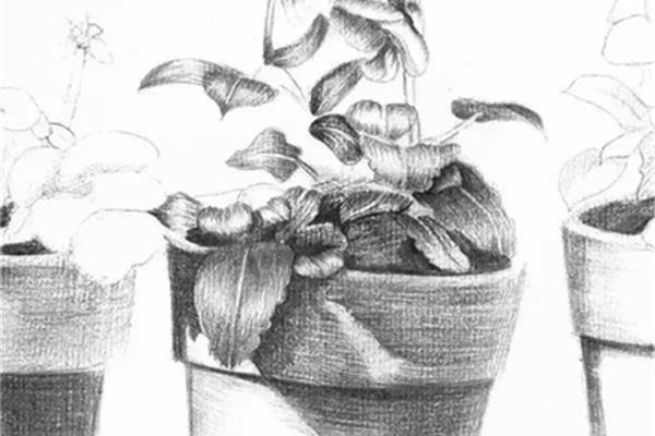 素描画大全