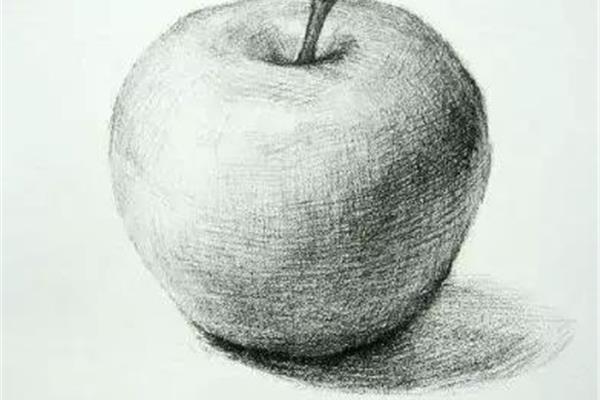 素描画大全