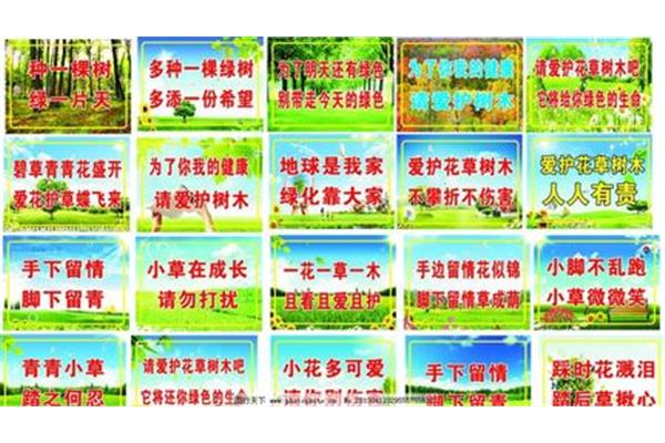 保护树木的宣传语
