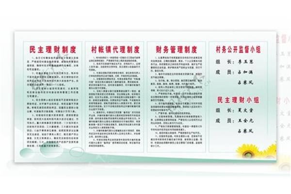 村级财务管理