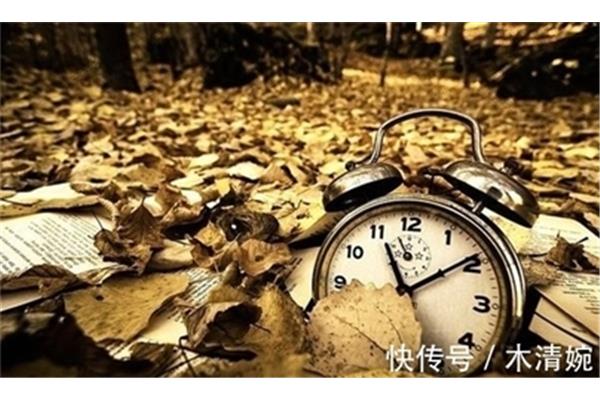 流逝的时光