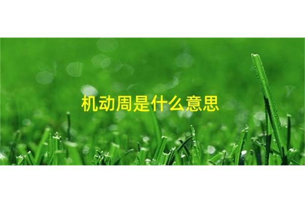 机动周是什么意思